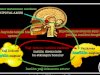 LEPTİN HORMONUNUN SALGILANABİLMESİ İÇİN NE YAPMAK LAZIM? 