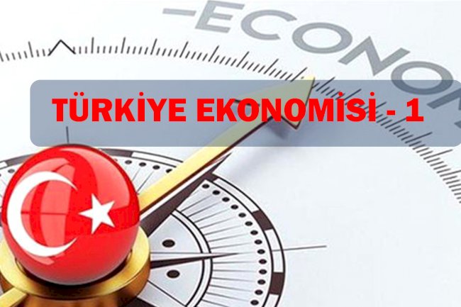 TÜRKİYE EKONOMİSİ ünite 1 