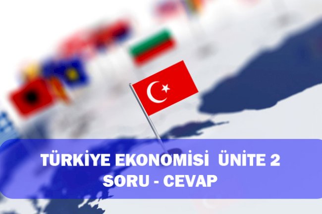 TÜRKİYE EKONOMİSİ ünite  - 2