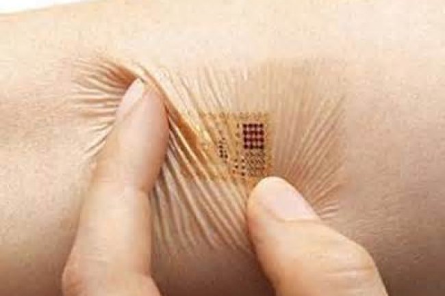 İnsanlara takılacak olan çip ile insan biyolojisinden çok gelişmiş birer bilgisayar olarak yararlanılacak!