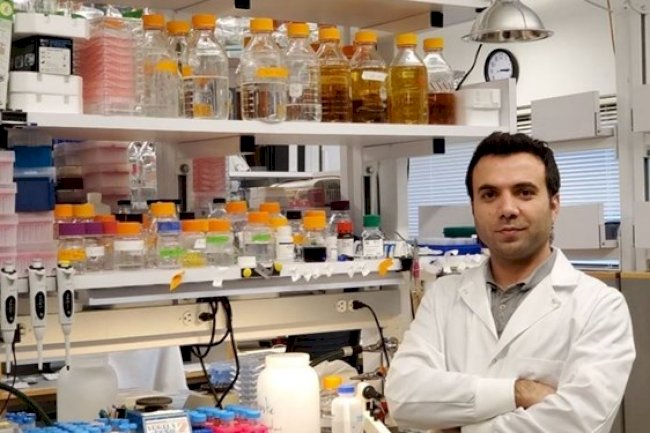 Harvardlı Türk bilim insanı Dr. Geylani Can'a 400 bin dolarlık araştırma ödülü 