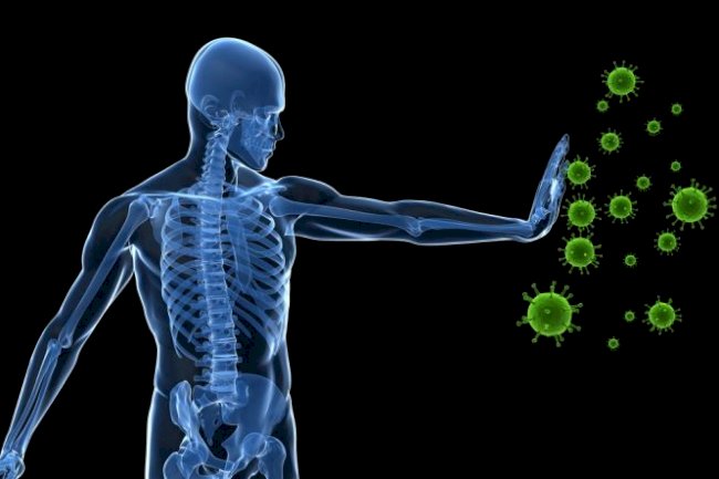 Bağırsaktaki zararlı bakterilere karşı neler yapabiliriz 