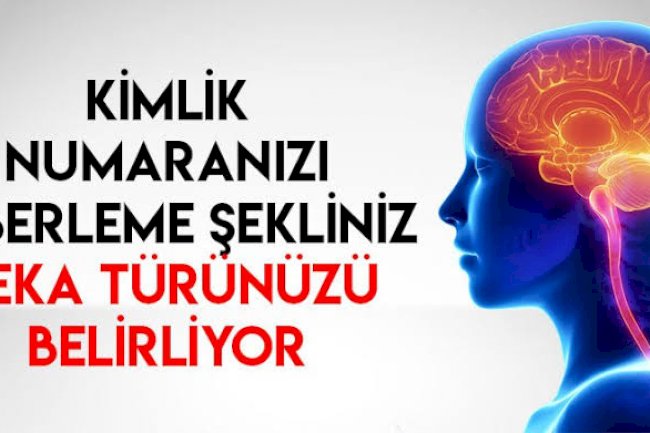 T.C kimlik numaramızı nasıl ezberlediğimiz, zekamızın hangi yönlü olduğunu gösteriyor