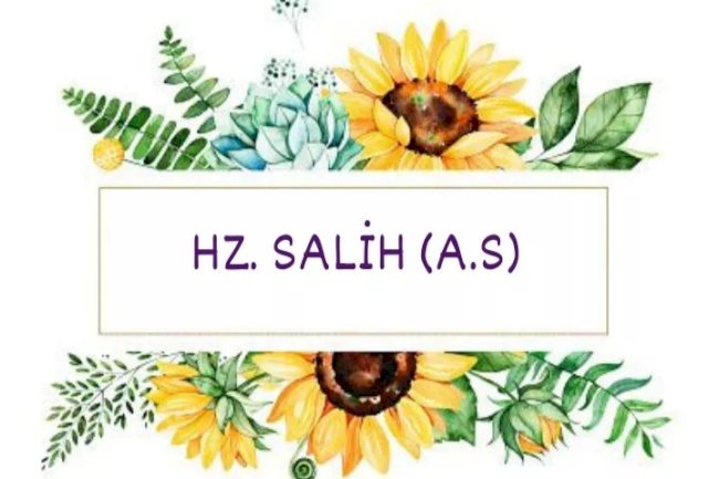 Hz. Salih (a.s) Kıssası 