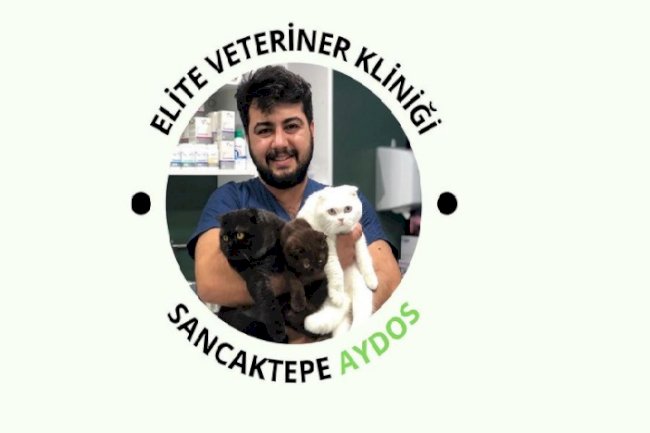 ELİTE VETERİNER KLİNİĞİ - VETERİNER HEKİM MEHMET RAŞİT EKŞİ