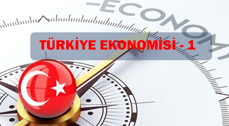 TÜRKİYE EKONOMİSİ ünite 1 