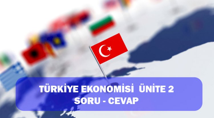 TÜRKİYE EKONOMİSİ ünite  - 2
