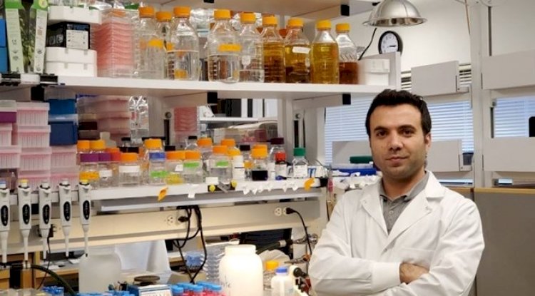 Harvardlı Türk bilim insanı Dr. Geylani Can'a 400 bin dolarlık araştırma ödülü 