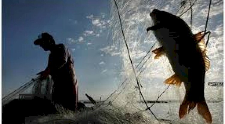 Denizde avlanması tamamen yasaklanmış türler