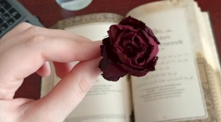 Kendi Nefsini Aşağılamamak, Kötü Şeylere İyi İsimler Vermemek, Kadınların Güzelliğini Başkalarına Anlatmamak