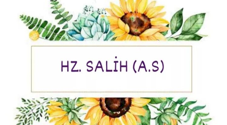Hz. Salih (a.s) Kıssası 