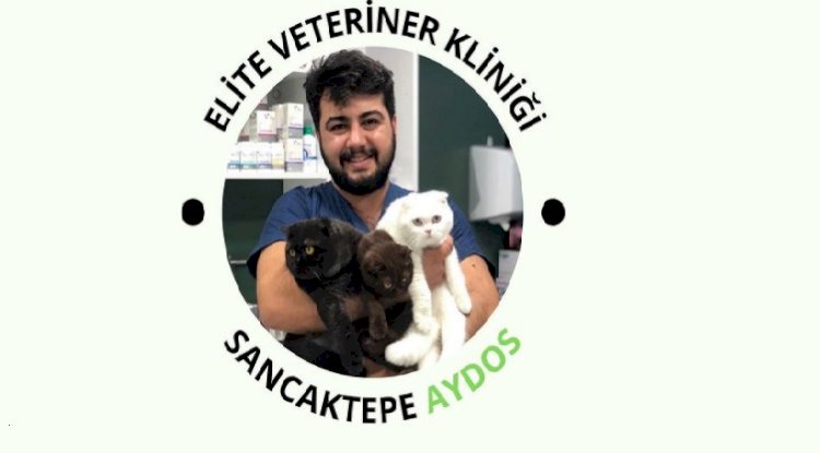 ELİTE VETERİNER KLİNİĞİ - VETERİNER HEKİM MEHMET RAŞİT EKŞİ