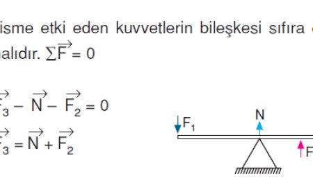 Denge Problemini Çocuğunuza Anlatmak İçin Harika Bir Yol