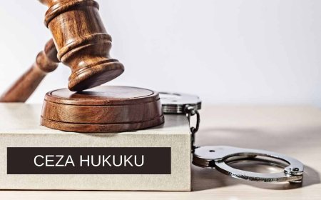 Ceza Muhakemesi Kavramları ve Suç Çeşitleri