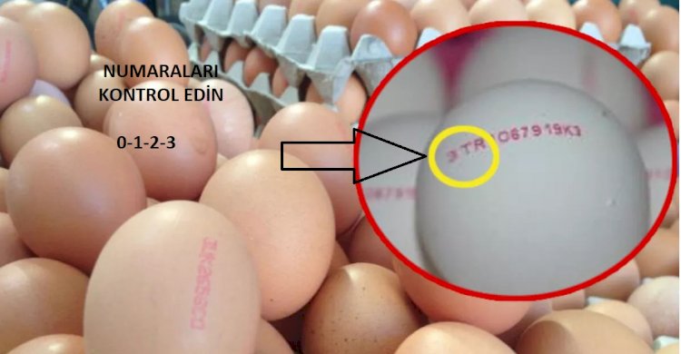 Yumurtanın Üzerinde ki Sayılar Ne Anlama Gelir ?